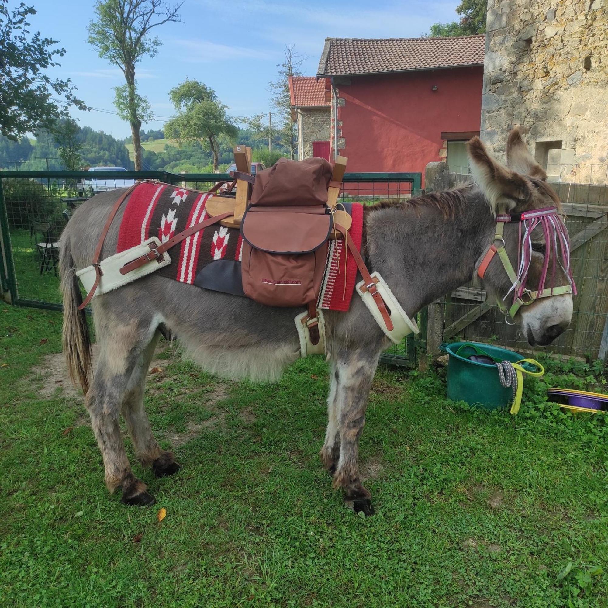 Gite La Roche Bertignat Экстерьер фото
